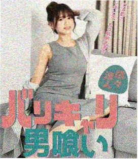 法国风流女管家第二季先导预告封面